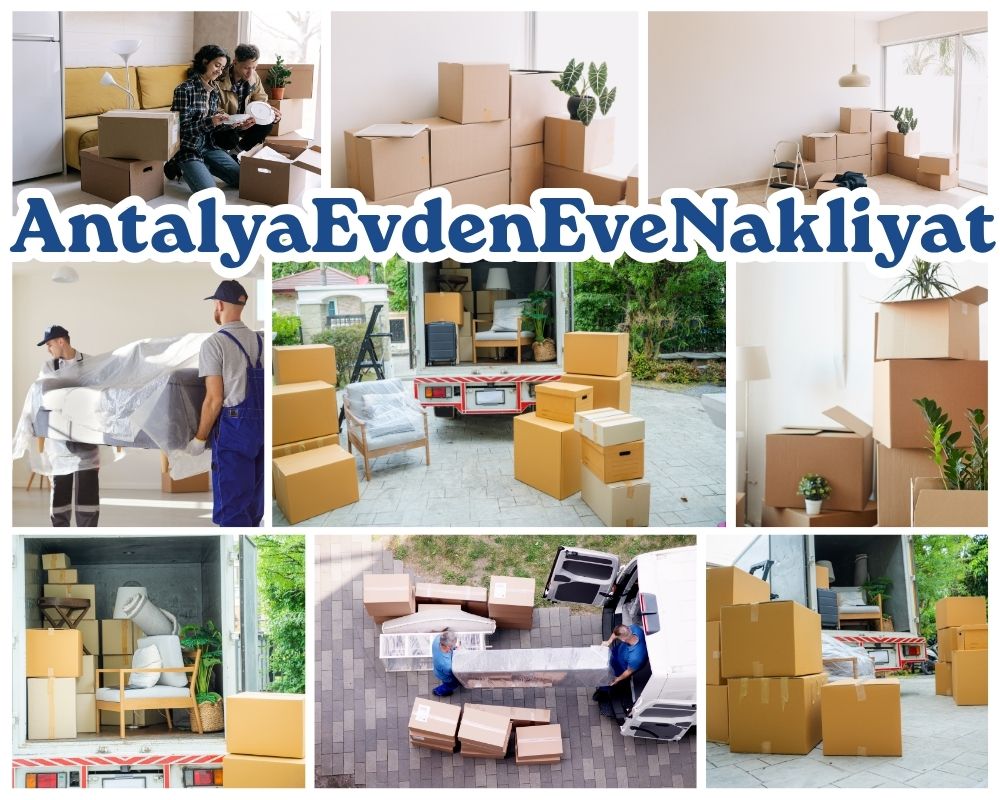 Antalya Posof Asansörlü Evden Eve Nakliyat